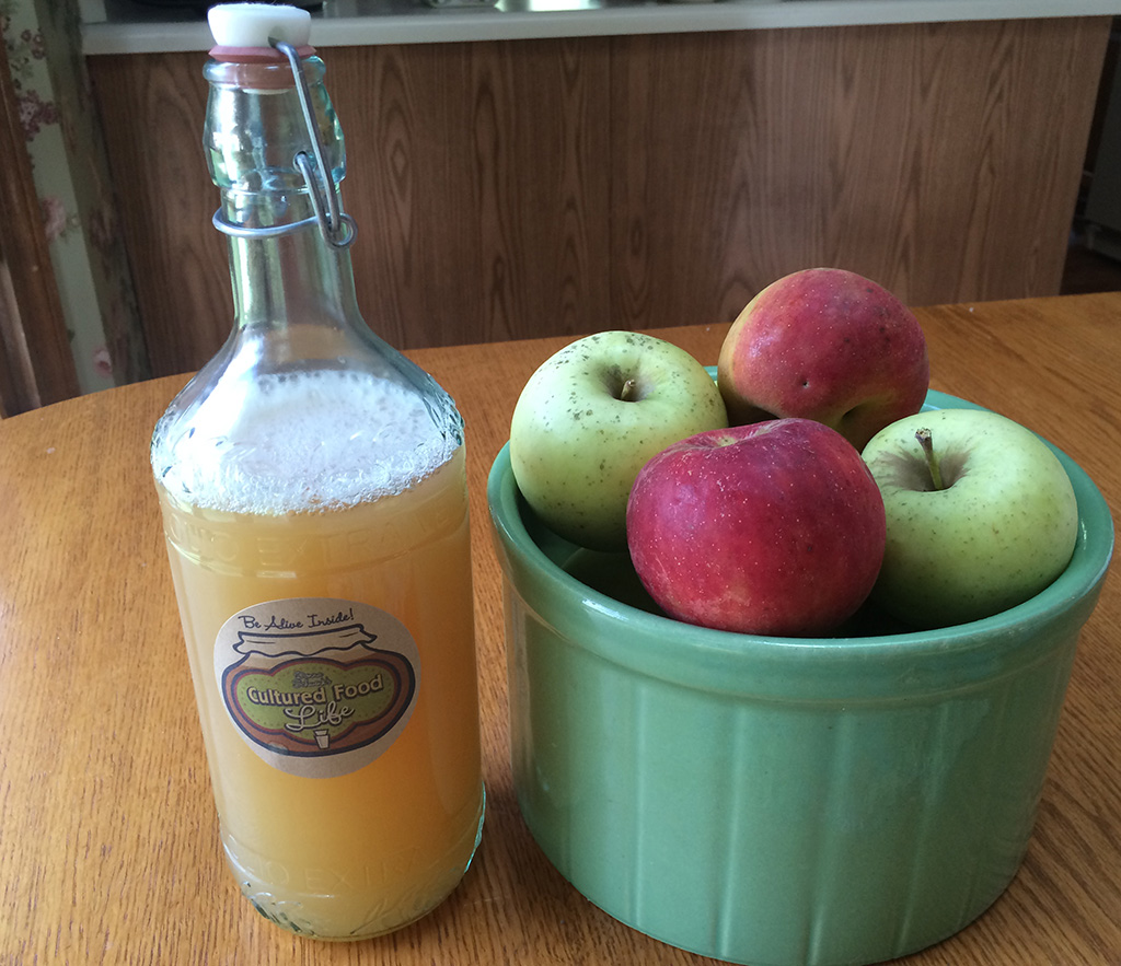 Fizzy Blender "Juiced" Apple Kombucha Cultured Food Life