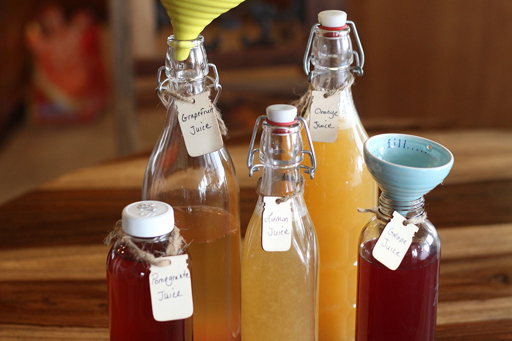 Fruit Flavored Kombucha