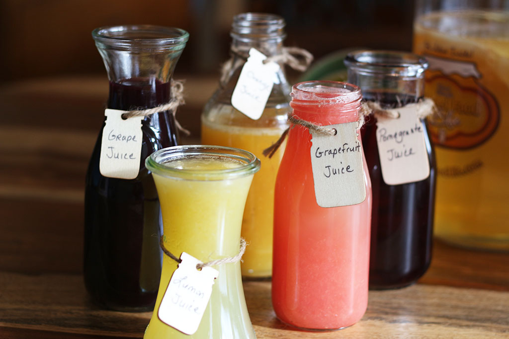 Kombucha Juices