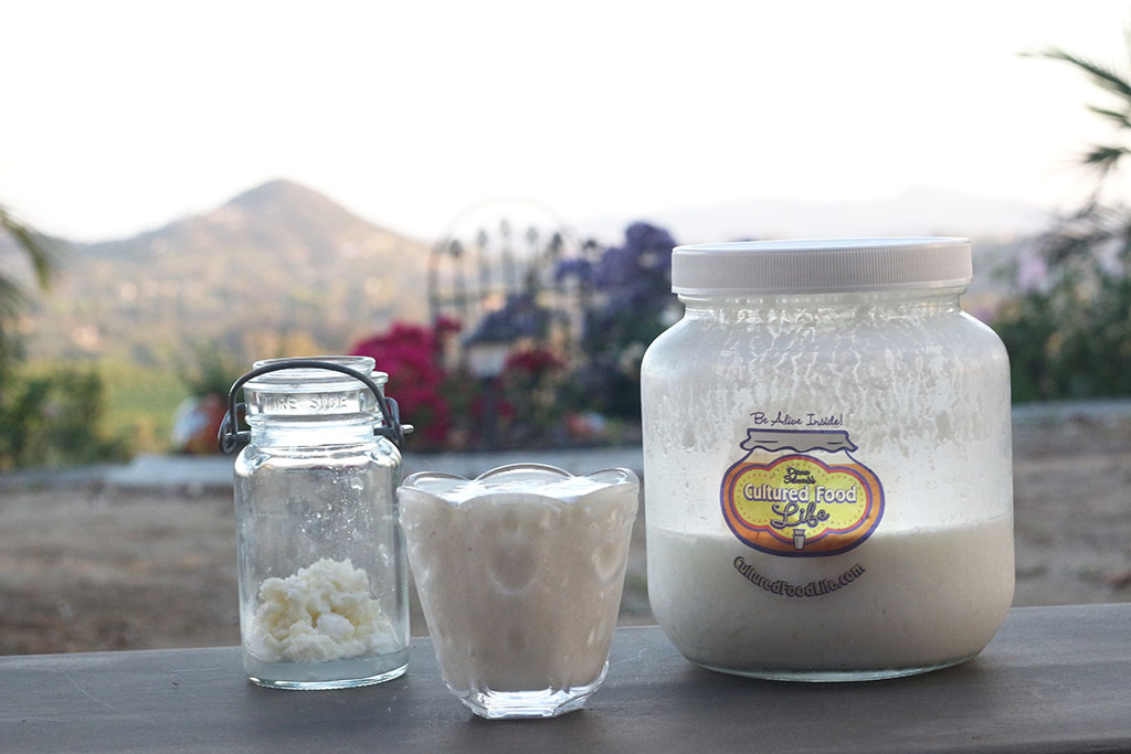 Kefir and Grains Kefir and Grains