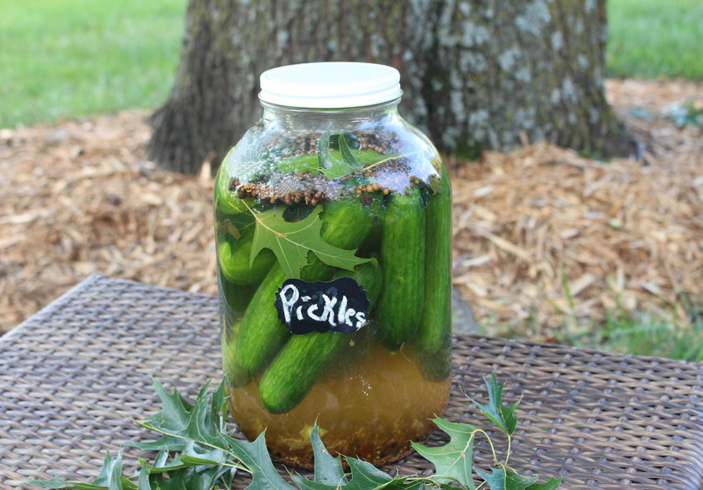 Pickles