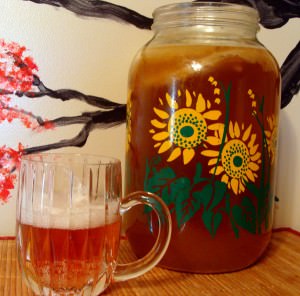How to make Kombucha