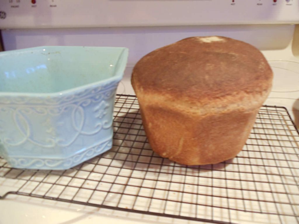 Sourdoughh & sprouted breads Sourdoughh & sprouted breads