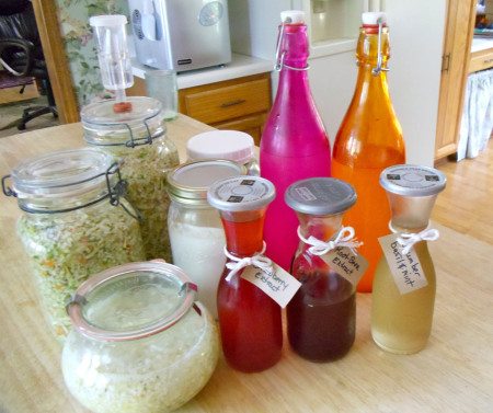 Ferments in my Kitchen Ferments in my Kitchen