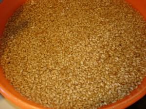Wheat Grains Wheat Grains