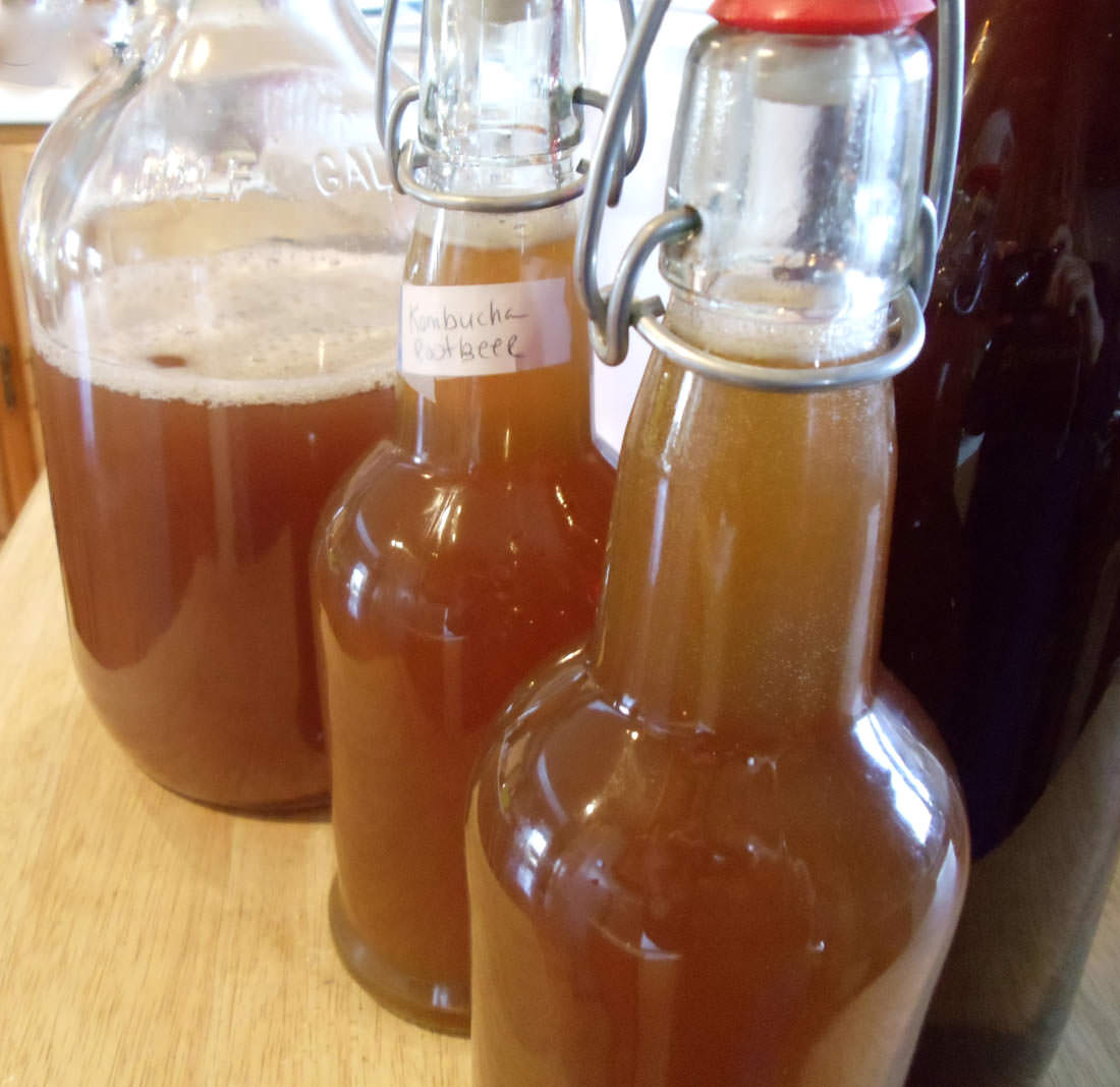 Root Beer Kombucha Cultured Food Life