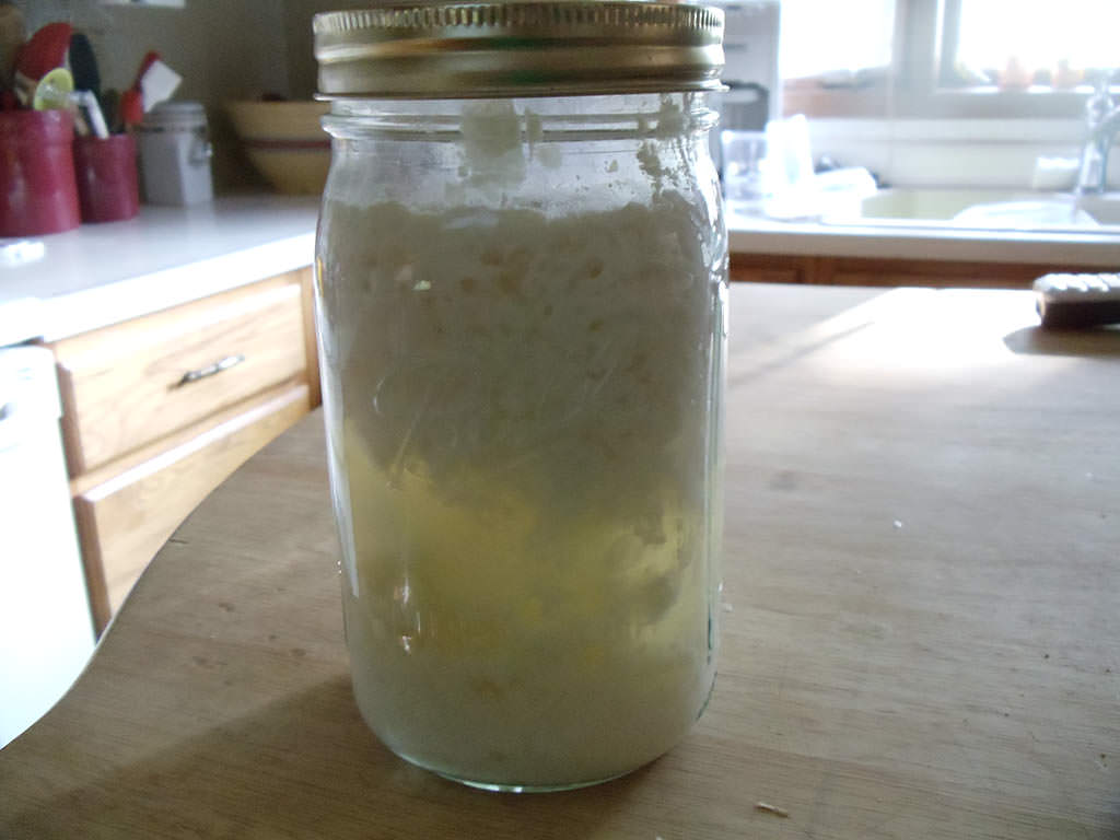 The Thick and Thin of Kefir Cultured Food Life