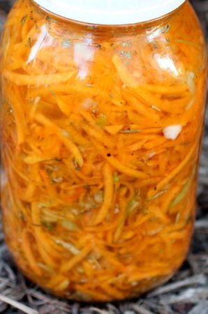 Wisdom Kraut