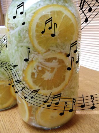 Orangeade Kraut Orangeade Kraut