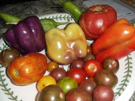 Fresh vegetables are key Fresh vegetables are key