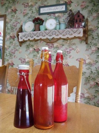 Kefir Soda Kefir Soda
