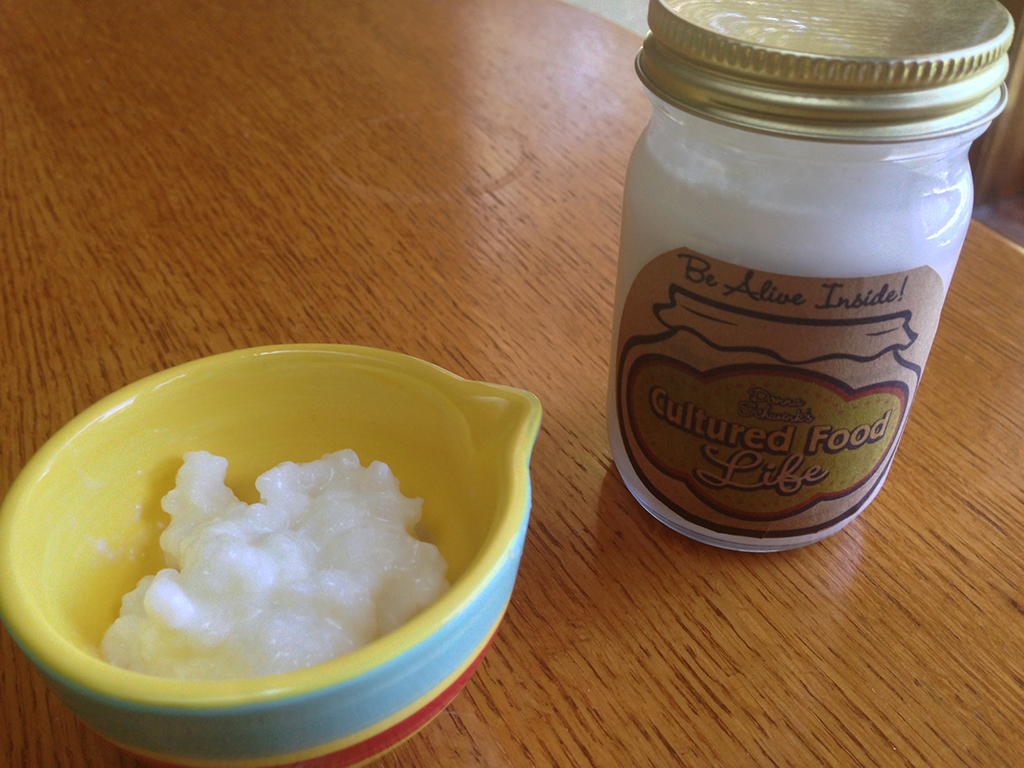 kefir grains