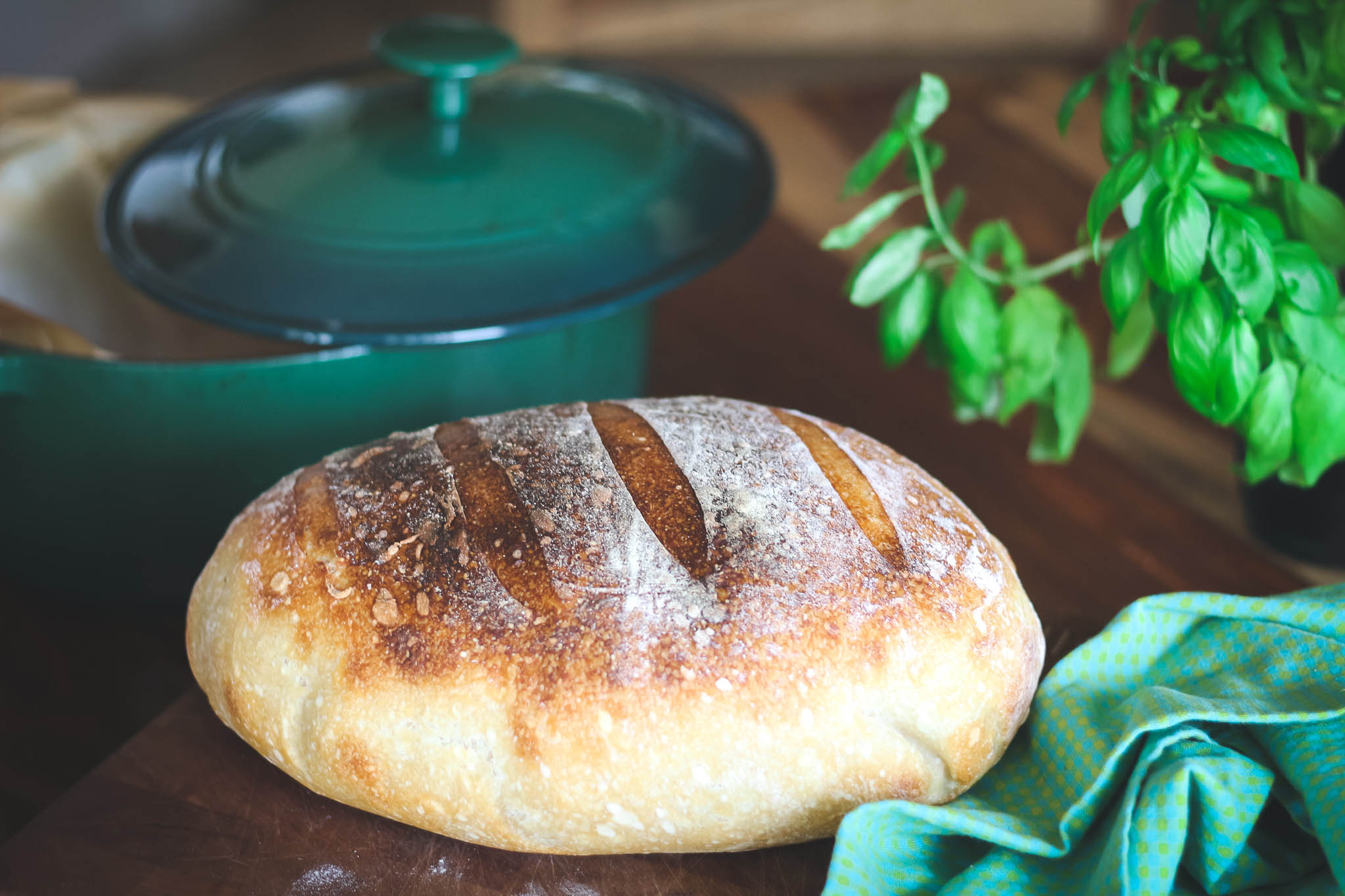 sourdough sourdough