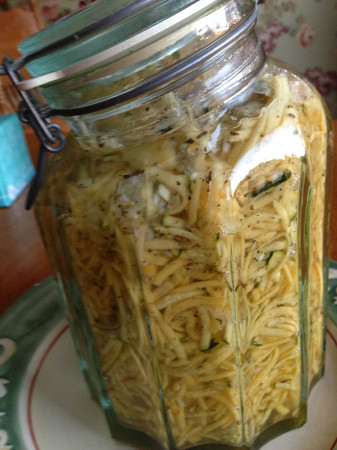 Wisdom Kraut Wisdom Kraut