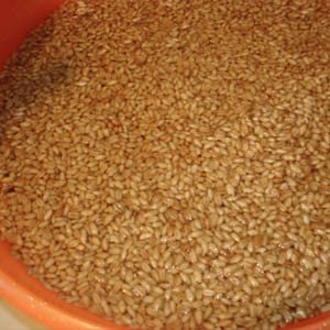How do I make sprouted flour