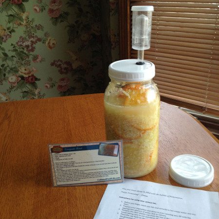 Click here to purchase a 1/2 gallon fermenting jar with airlock Click here to purchase a 1/2 gallon fermenting jar with airlock