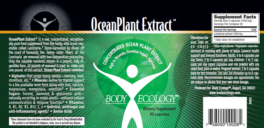 ocean-info ocean-info