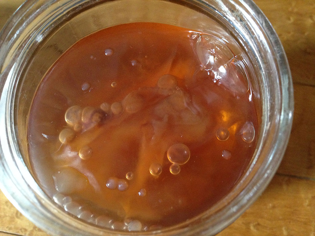 scoby film 2