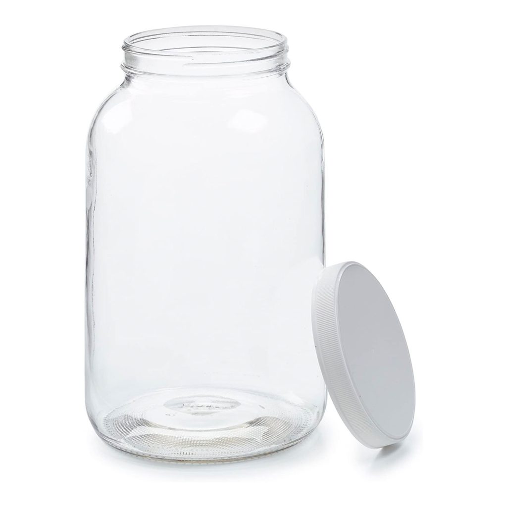 Gallon Jar Cultured Food Life
