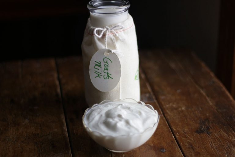 7 Reasons to Make Goat Milk Kefir Cultured Food Life