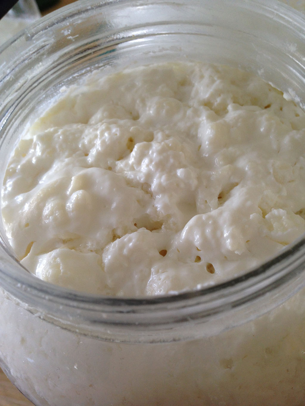 The Thick and Thin of Kefir Cultured Food Life
