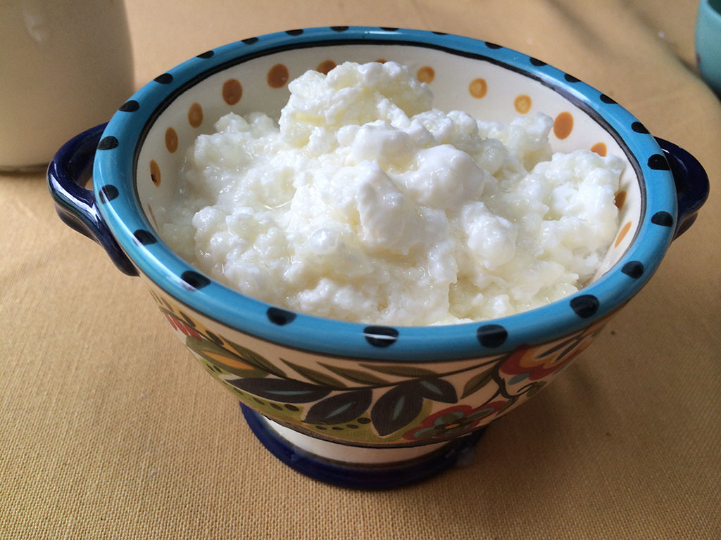 kefir grains