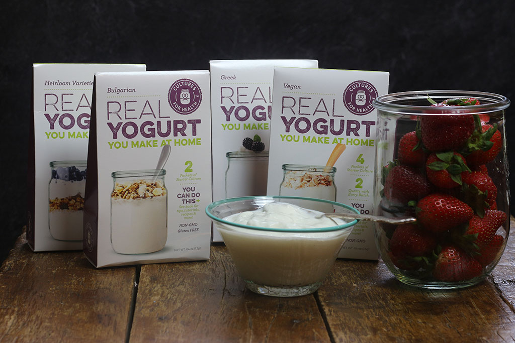 yogurt yogurt