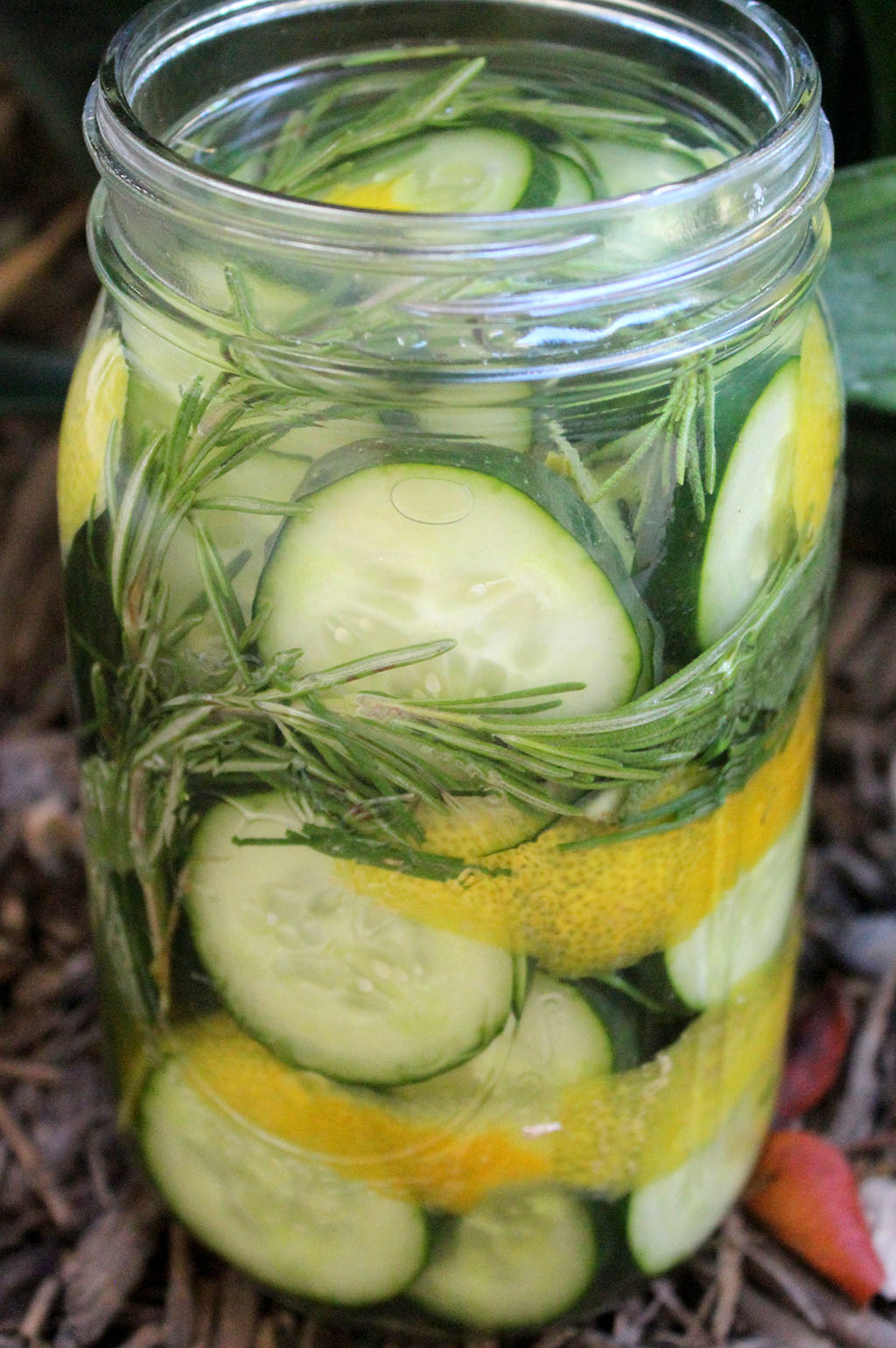 Rosemary Pickles