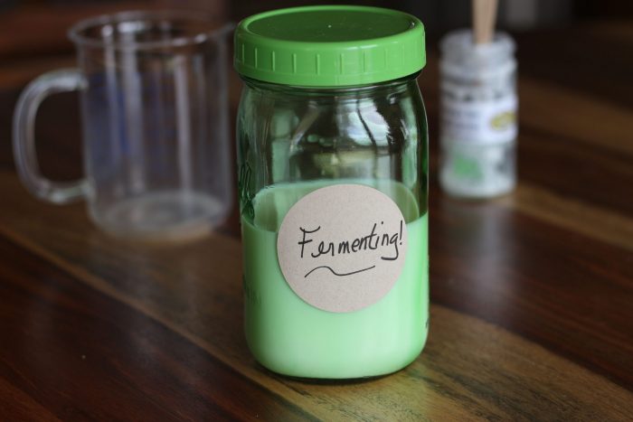 Donna's Live MILK Kefir Grains - Image 5