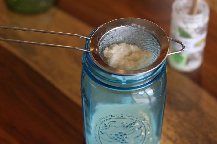 Donna's Live MILK Kefir Grains - Image 3