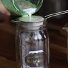 Donna's Live MILK Kefir Grains - Image 2