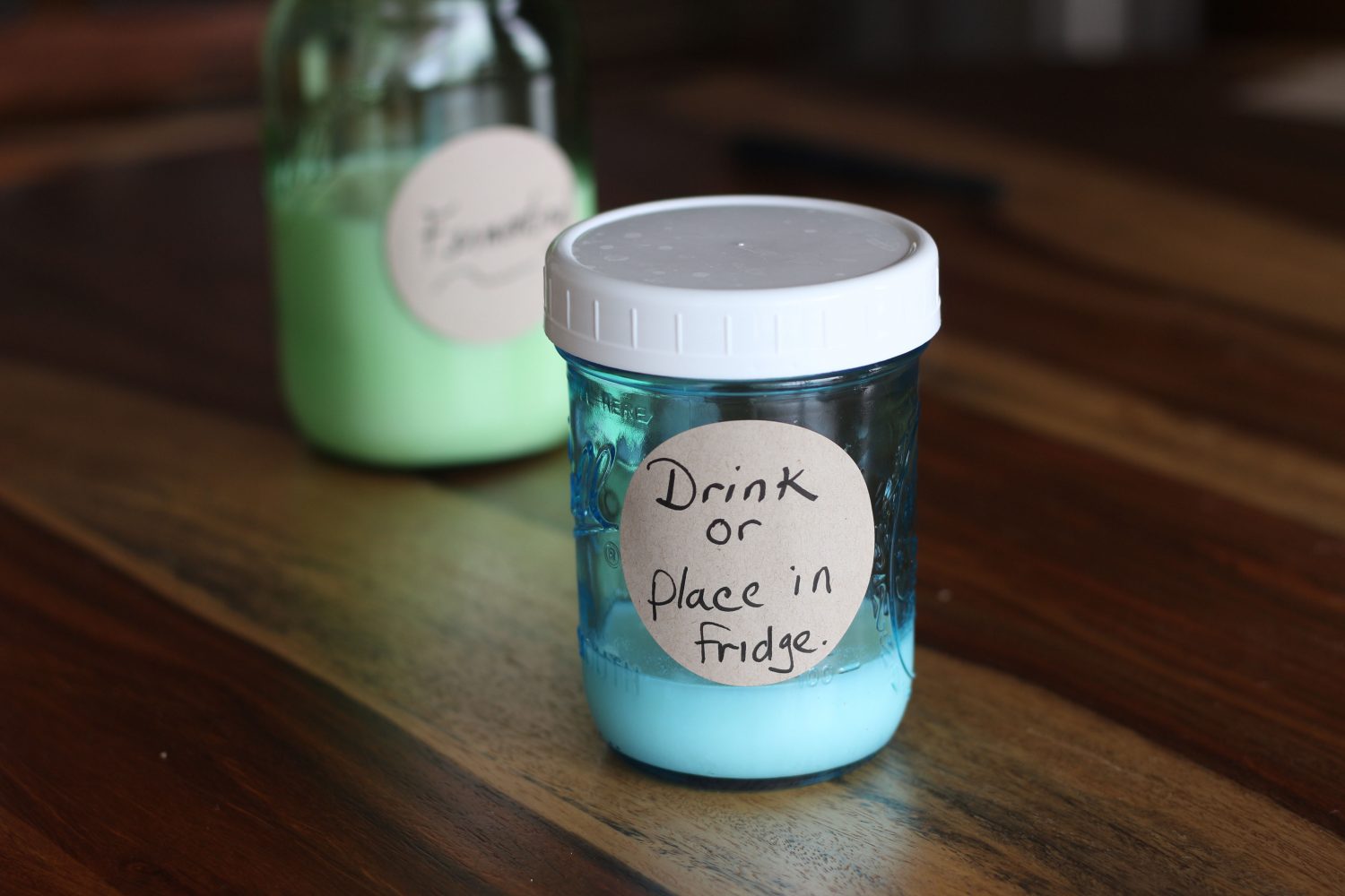 The Dog That Kefir Saved Cultured Food Life