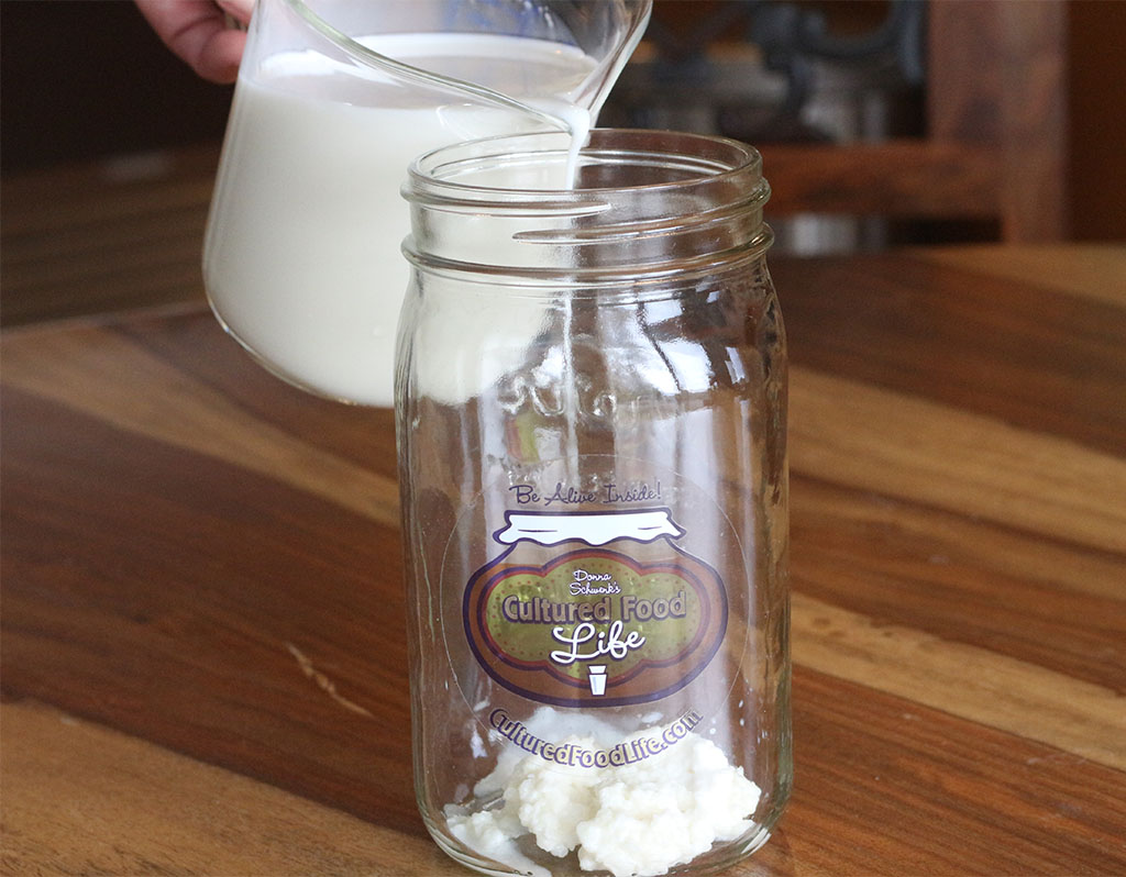 kefir jar