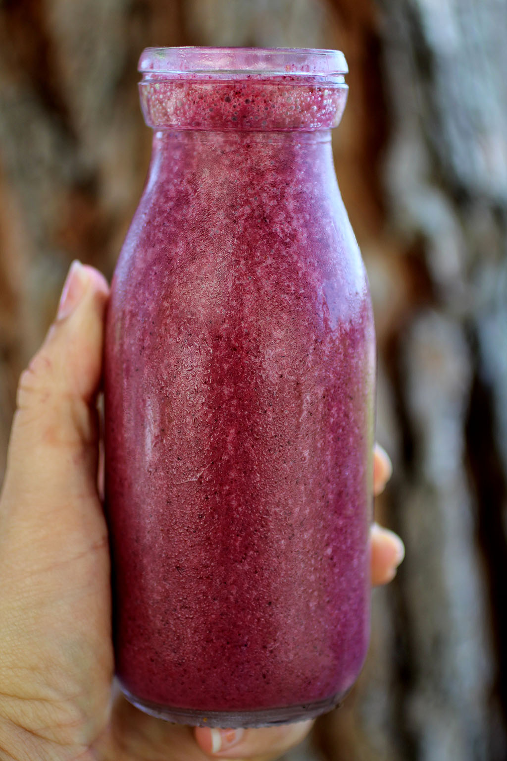 Blueberry Kefir Cultured Food Life