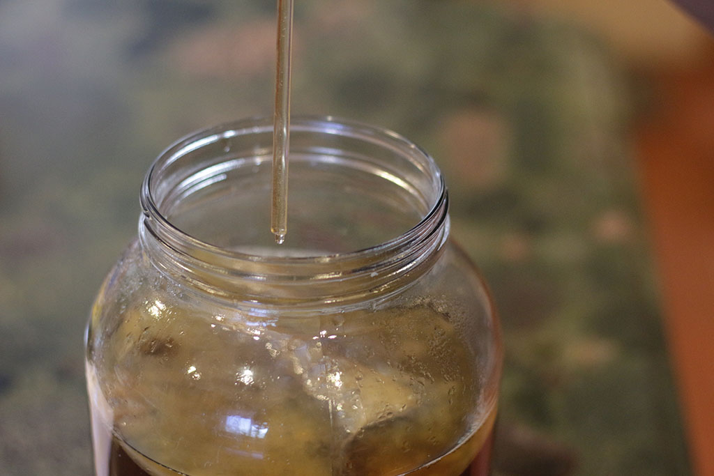 kombucha testing kombucha testing