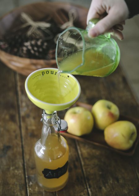 Fizzy Blender "Juiced" Apple Kombucha - Cultured Food Life