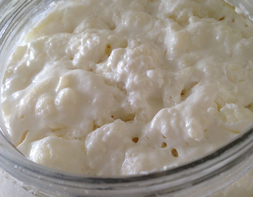 Video Is Your Kefir Separating? Cultured Food Life