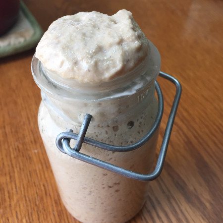 sourdough culture