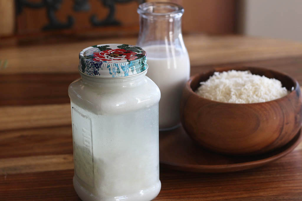 coconut milk kefir3