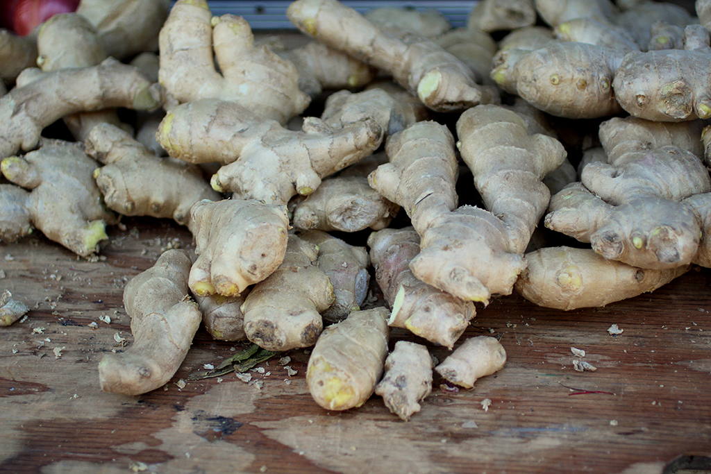 Ginger Ginger