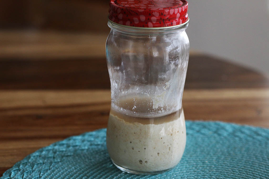 How to Care Sourdough Starter - Cultured Food Life