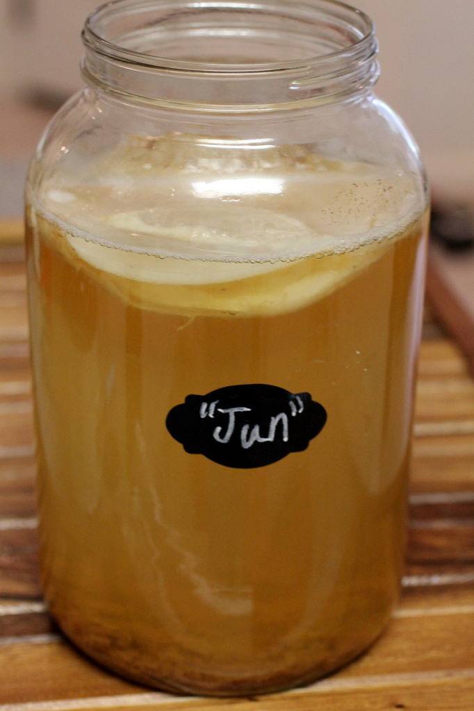 Jun! New Culture or Honey Kombucha Hybrid? Cultured Food