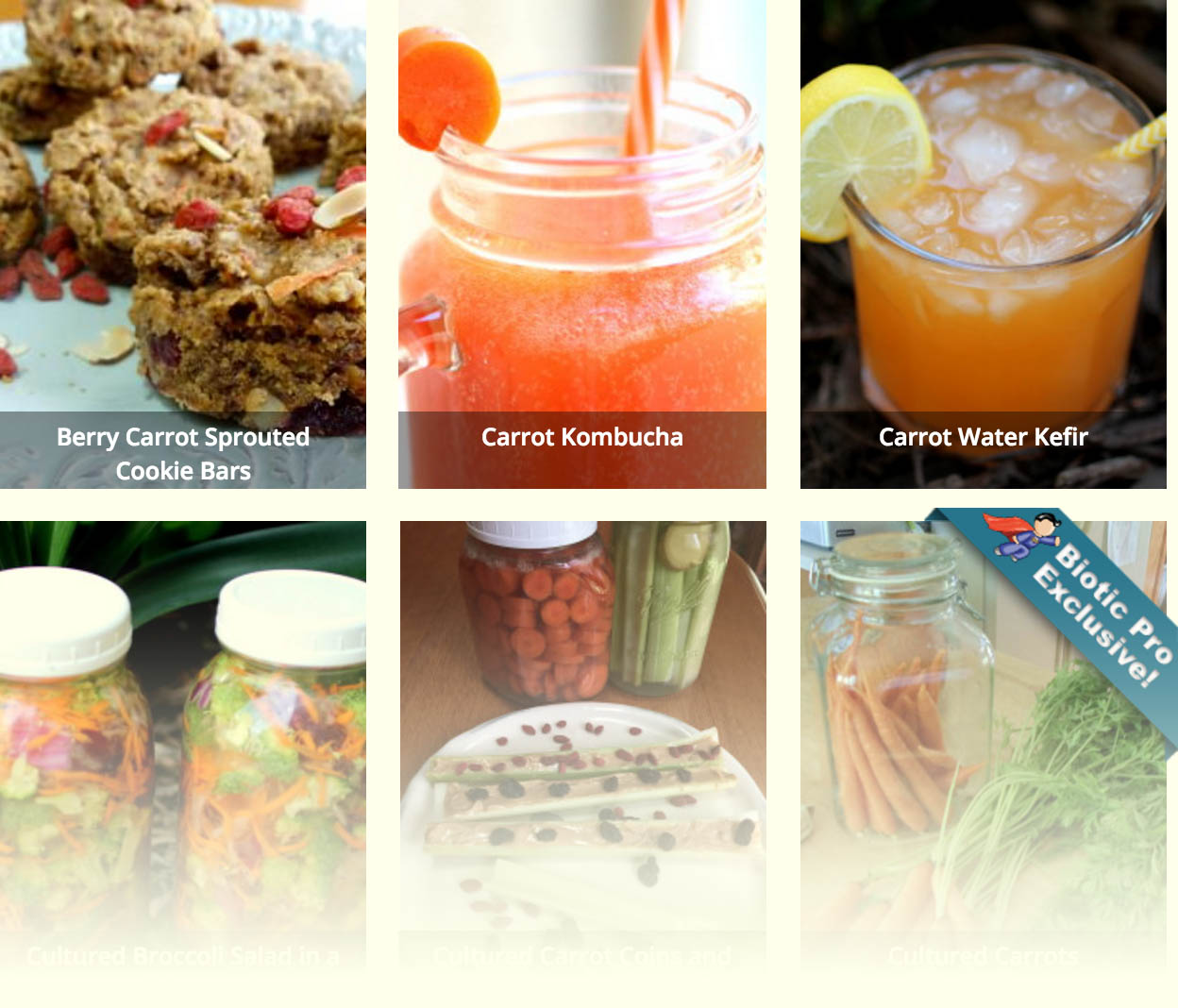 Carrot Recipe Grid Carrot Recipe Grid