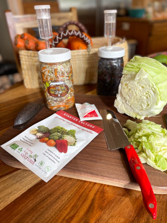 Vegetable Starter by Cutting Edge Cultures Cultured Food Life