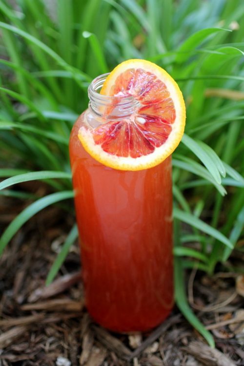 Blood Orange Kombucha Cultured Food Life