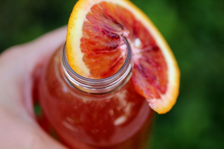 Become A Biotic Pro - Cultured Food Life