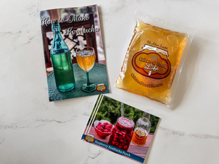 Donna's Live Kombucha Starter