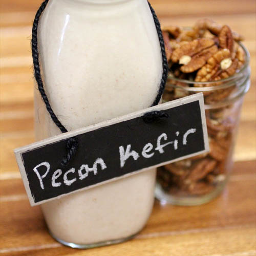 https://www.culturedfoodlife.com/wp-content/uploads/2016/01/Pecan-Kefir.jpg