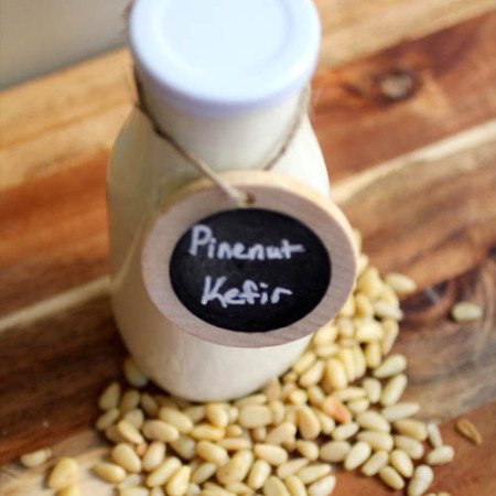 Pine Nut Kefir