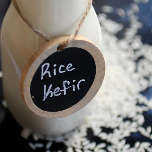 Rice Kefir Rice Kefir